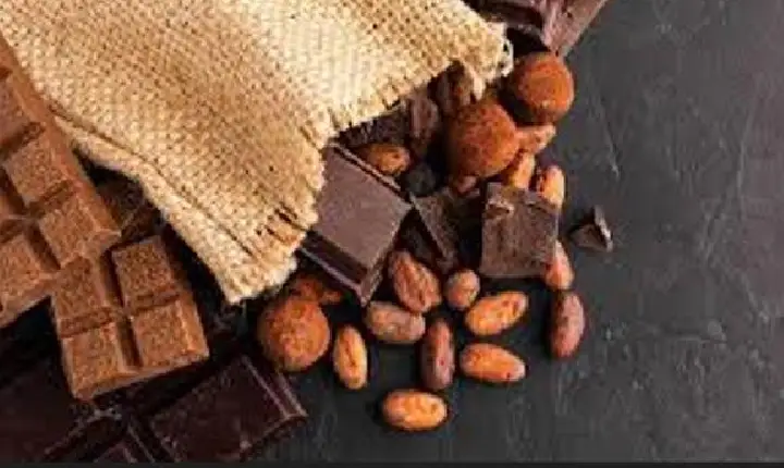 Chocolate brasileiro mais puro: Câmara aprova novas regras de cacau e rotulagem