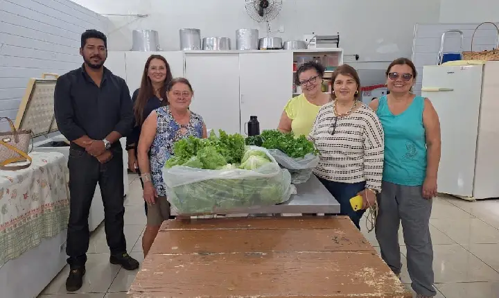 Colheita na Horta Comunitária Urbana é entregue pela administração a entidades do COMSEA
