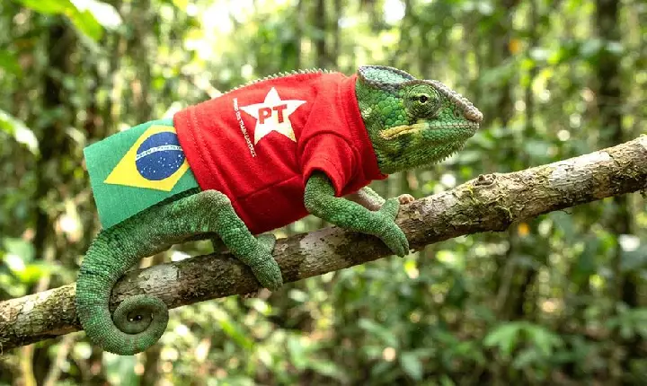 Depois de carregar a bandeira 