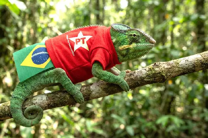 Depois de carregar a bandeira 