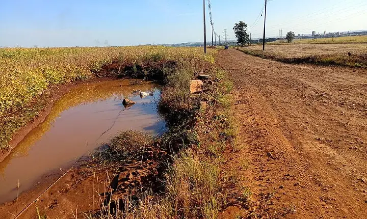 Estrada dos Pioneiros entrará para o Roteiro Turístico Virtual em Ibiporã