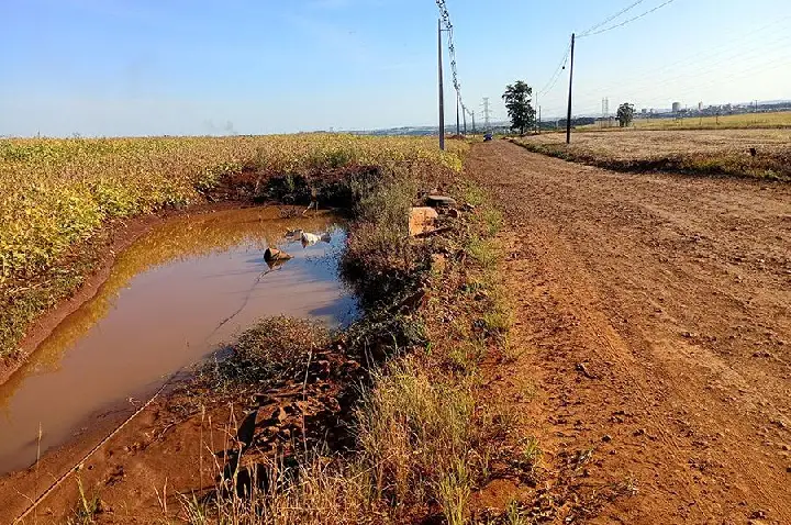 Estrada dos Pioneiros entrará para o Roteiro Turístico Virtual em Ibiporã