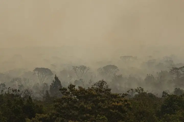 Força Nacional do SUS apoia atendimentos no Amazonas após incêndios