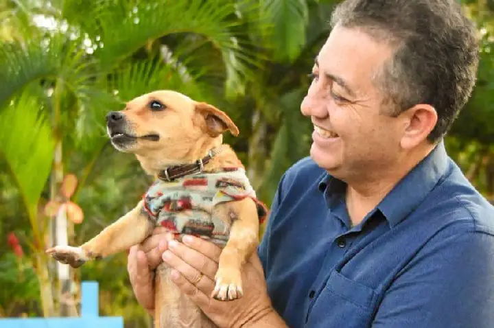 Julho Dourado ganha força no Paraná em meio ao crescimento da população pet e ao avanço das denúncias de maus-tratos