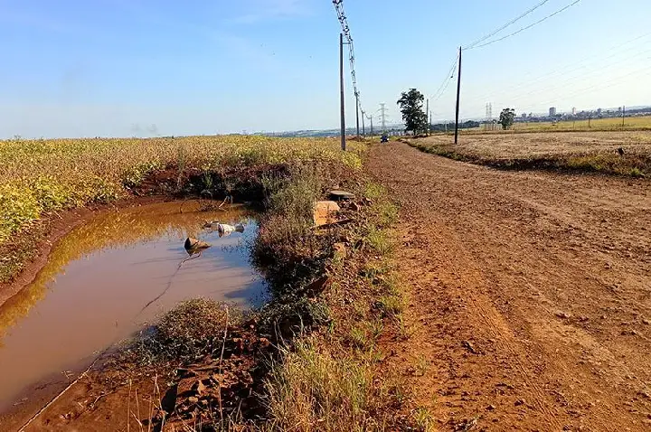 Manutenção na Estrada dos Pioneiros volta ao cenário de cobranças na Câmara Municipal