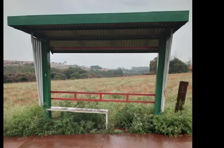 O contraste do abandono: mato avança em Ibiporã enquanto IPTU chega com reajuste questionável