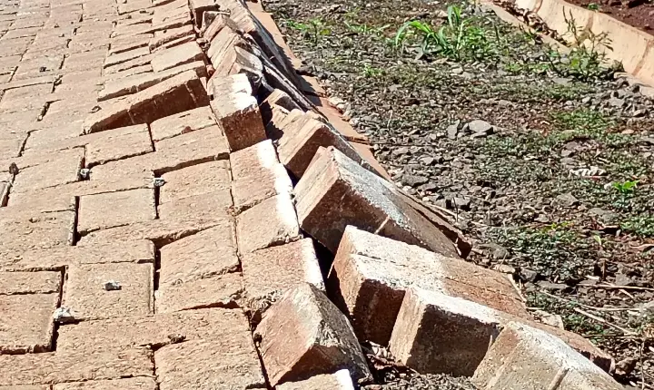 O Escândalo do Paver: Estrada de R$ 3,1 Milhões Afunda na Lama e na Incompetência em Ibiporã