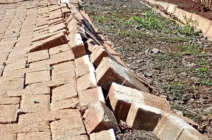 O Escândalo do Paver: Estrada de R$ 3,1 Milhões Afunda na Lama e na Incompetência em Ibiporã