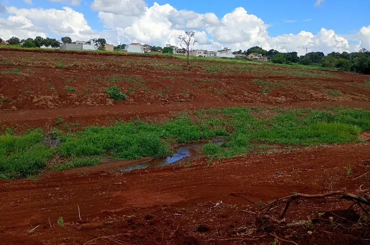 Vereador fiscaliza obra no Lago dos Tucanos e cobra suposto desaparecimento de madeira retirada