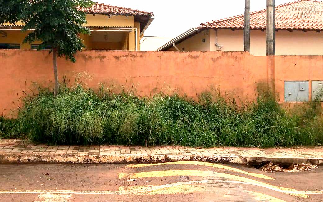 Prefeitura não faz roçada e vereador “dá seu jeito”! Cadê a competência?