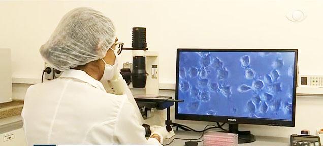 Saco de lixo desenvolvido por empresa brasileira consegue eliminar coronavírus, diz Unicamp