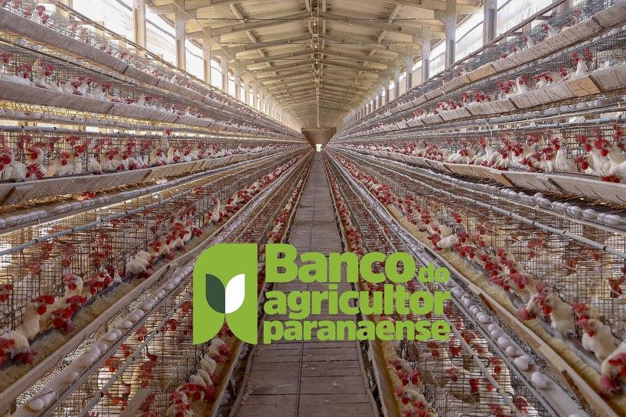 Prefeito José Maria participa em Curitiba do lançamento do Banco do Agricultor