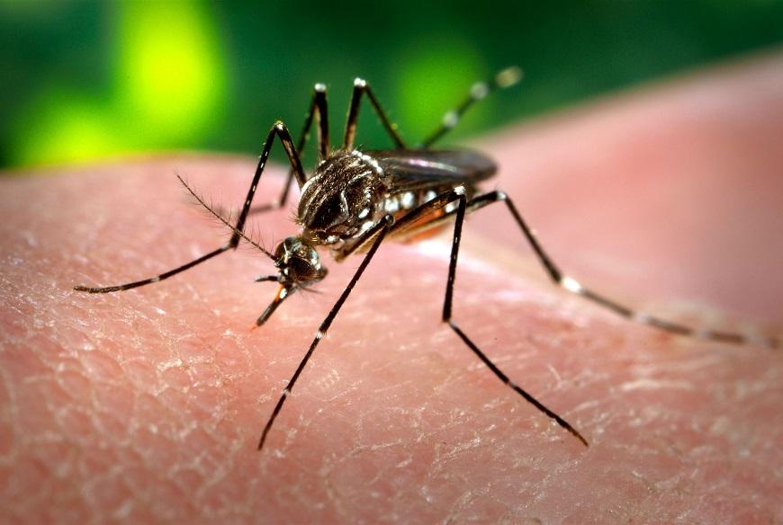 Dengue provoca morte de um homem de 45 anos em Ibiporã