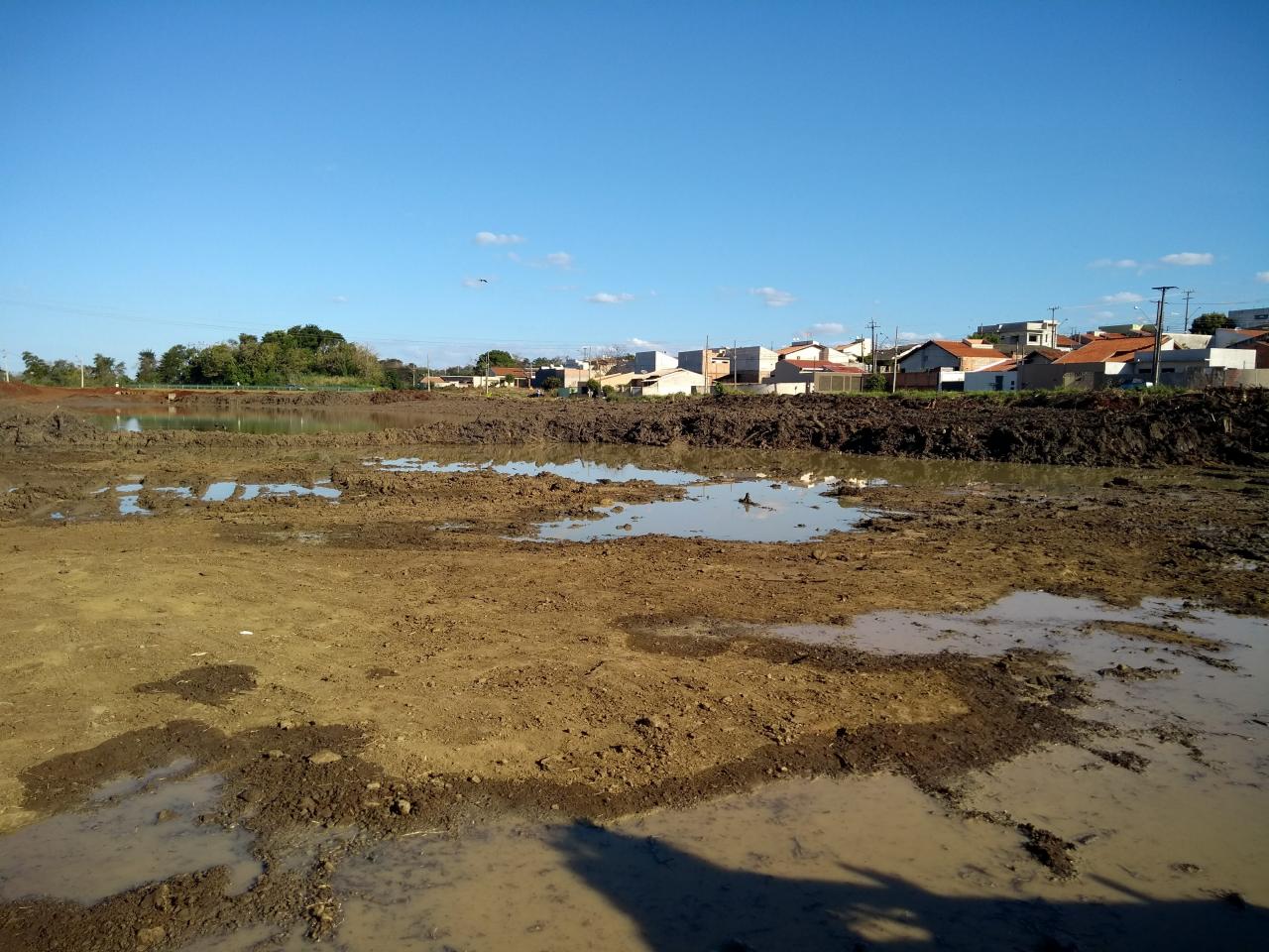 Obras de desassoreamento e retirada de raízes seguem sem interrupção