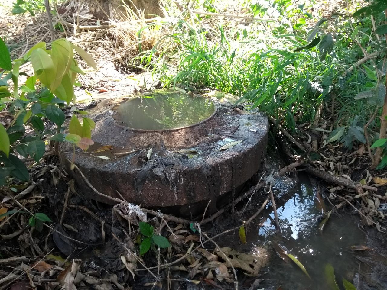 Prefeitura resolve problema de transbordo de esgoto no Lago Beltrão Park