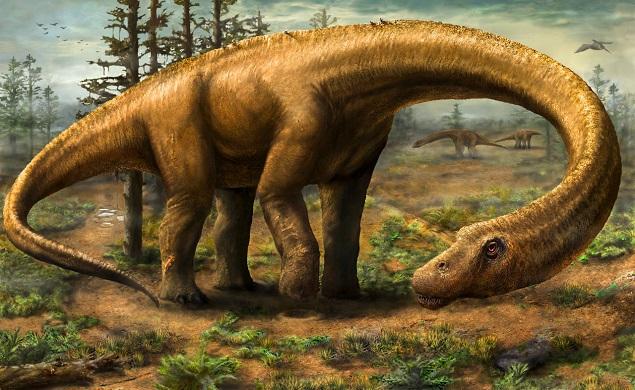 Fóssil de dinossauro é resgatado em obra de rodovia no interior de São Paulo