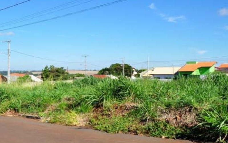 Vereador Gilson Mensato insiste na sua luta por uma “cidade mais limpa”