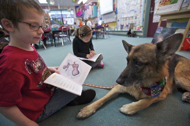 Projeto de Lei permite a presença de bichos de estimação nas escolas