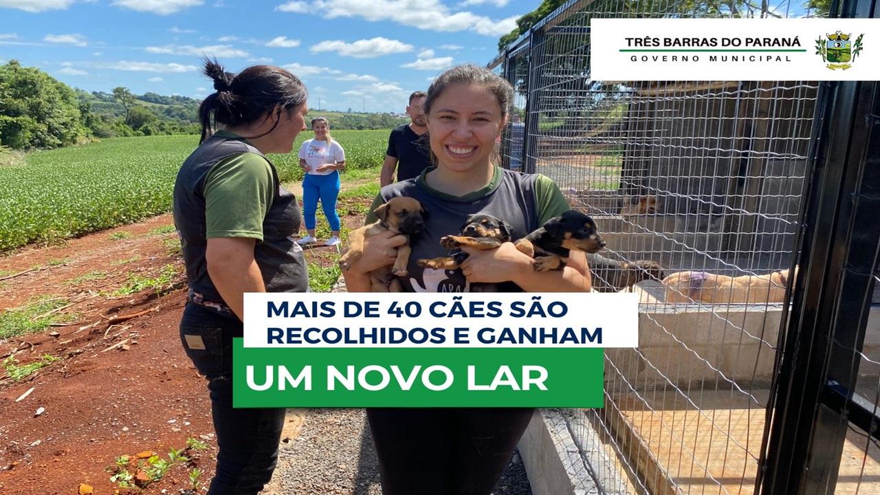 Promotoria de Três Barras dá exemplo ao cobrar do prefeito acuidade aos animais abandonados