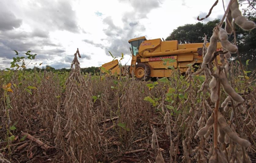 Safra de soja aumenta demanda por trabalhadores temporários no Paraná