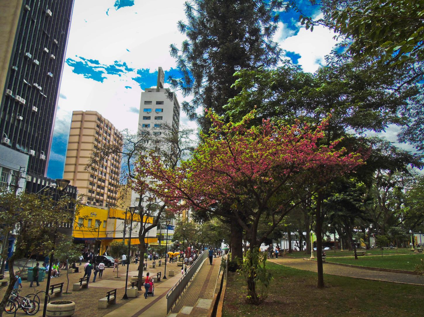 Corpus Christi: Veja o que abre e o que fecha em Londrina