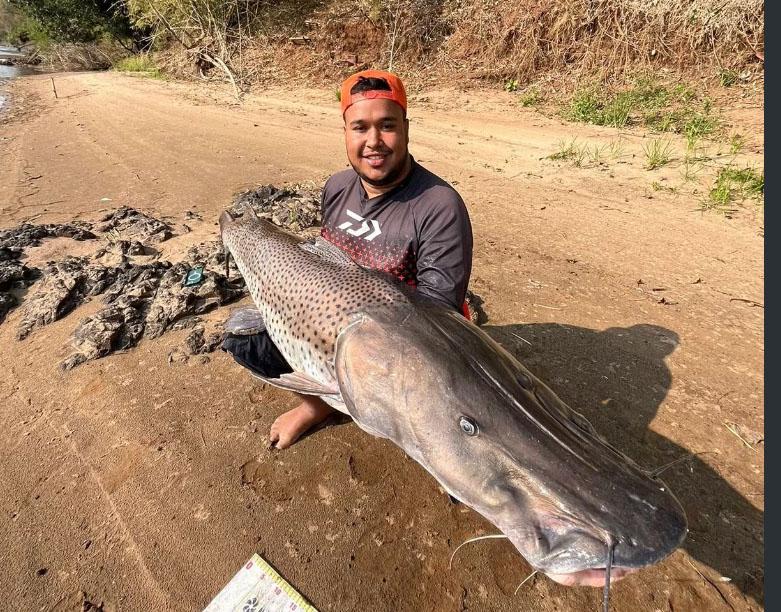 Jovem pesca Pintado de quase dois metros no rio Ivaí, no Paraná: '40 minutos de briga'