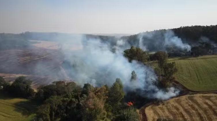 Agricultores do PR sofrem com queimadas fora de controle: 'Fogo queimou? Vamos reconstruir'