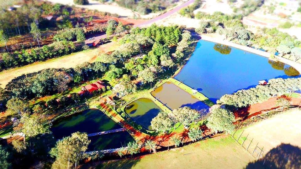 Ficou estressado com a eleição? Vá pescar...na melhor opção de toda a região