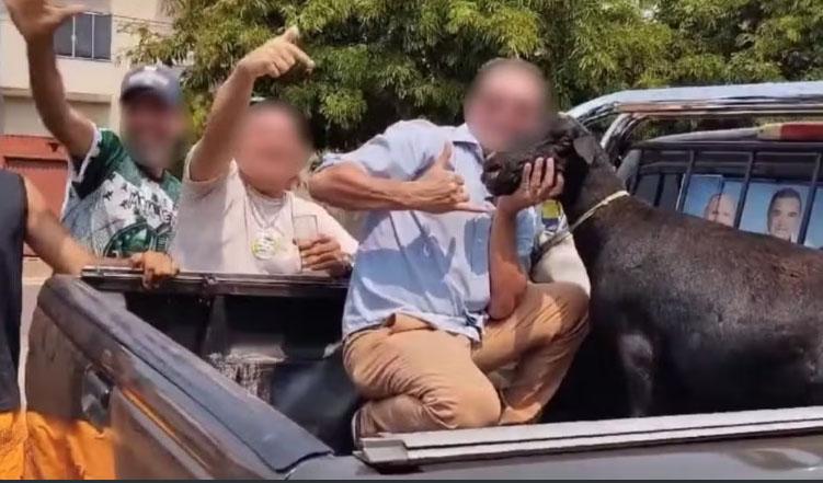 Vereador e ex-vereador são denunciados por maus-tratos após matar bode como provocação contra adversários políticos