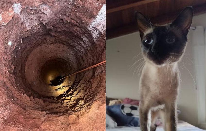 Bombeiros levam mais de cinco horas para resgatar gato que caiu em buraco de 15 metros de profundidade
