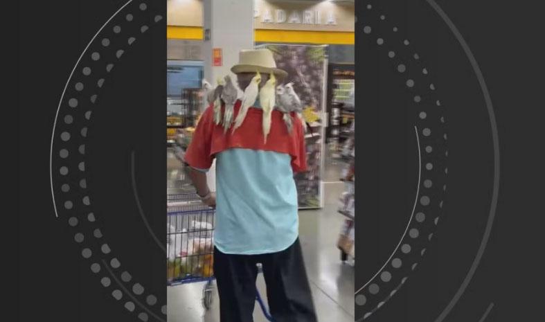 Idoso chama atenção ao fazer compras em supermercado com suas calopsitas no ombro