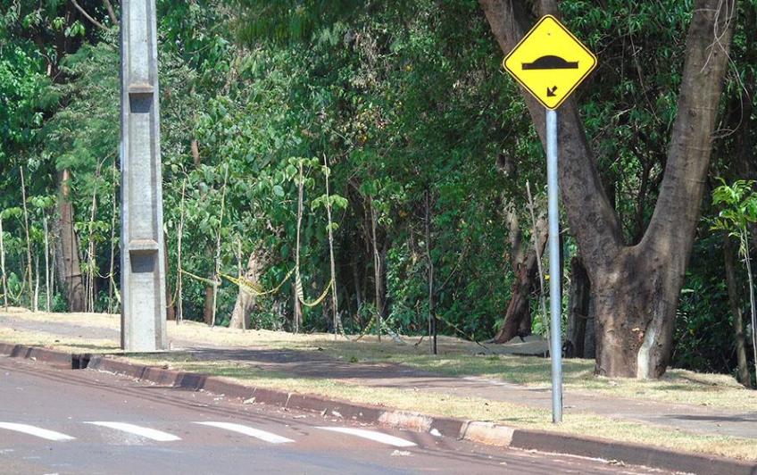 Fundo de Vale requer estudo de viabilidade para proteção ambiental da fauna e flora, além da população do bairro