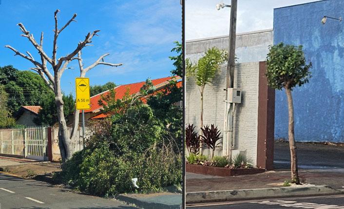 Morador de Ibiporã, repudia declaração do prefeito sobre 