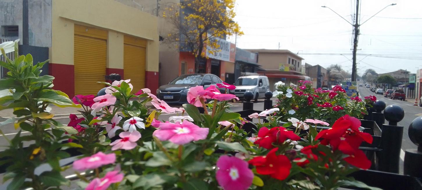 Ibiporã investe em plantas ornamentais para paisagismo e horta urbana voltada a educação