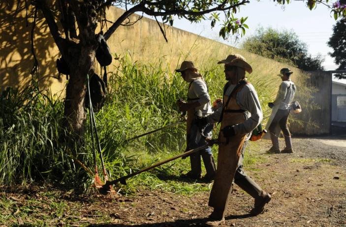 Prefeitura de Ibiporã abre licitação para contratar empresa para capina e roçagem em áreas públicas