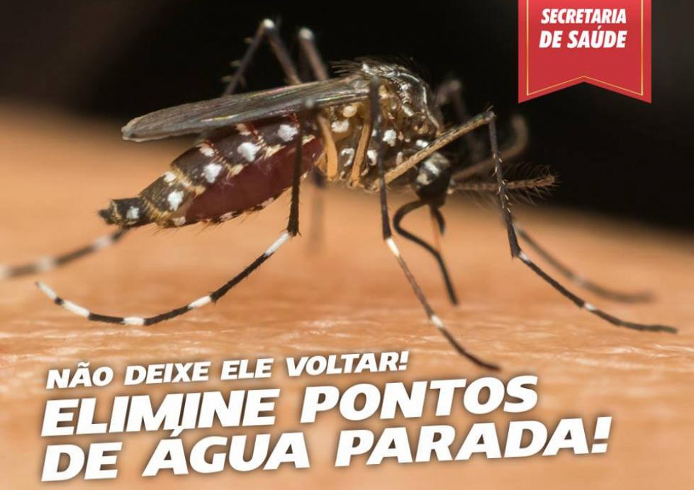 Ibiporã se antecipa intensificando enfrentamento antes do pico da dengue