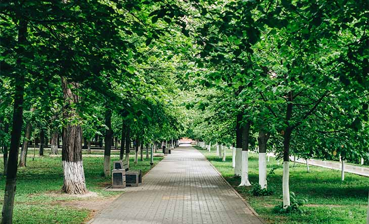 Infraestrutura Urbana e Sustentabilidade Social