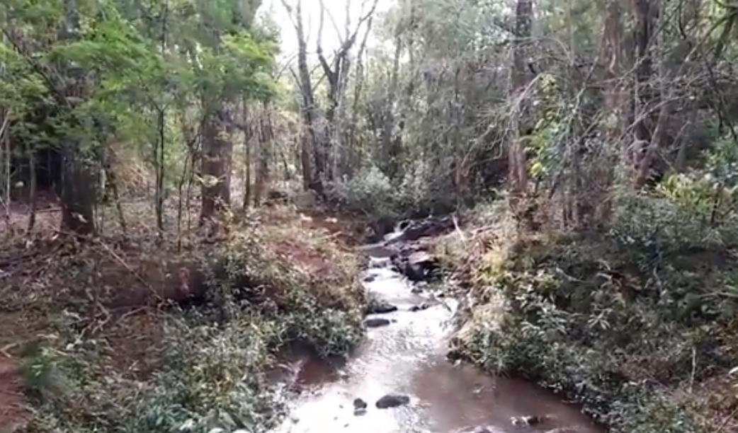 Crime Ambiental em Ibiporã: Rios sob Ameaça e Acordos Descumpridos Atraem a Ação do Ministério Público