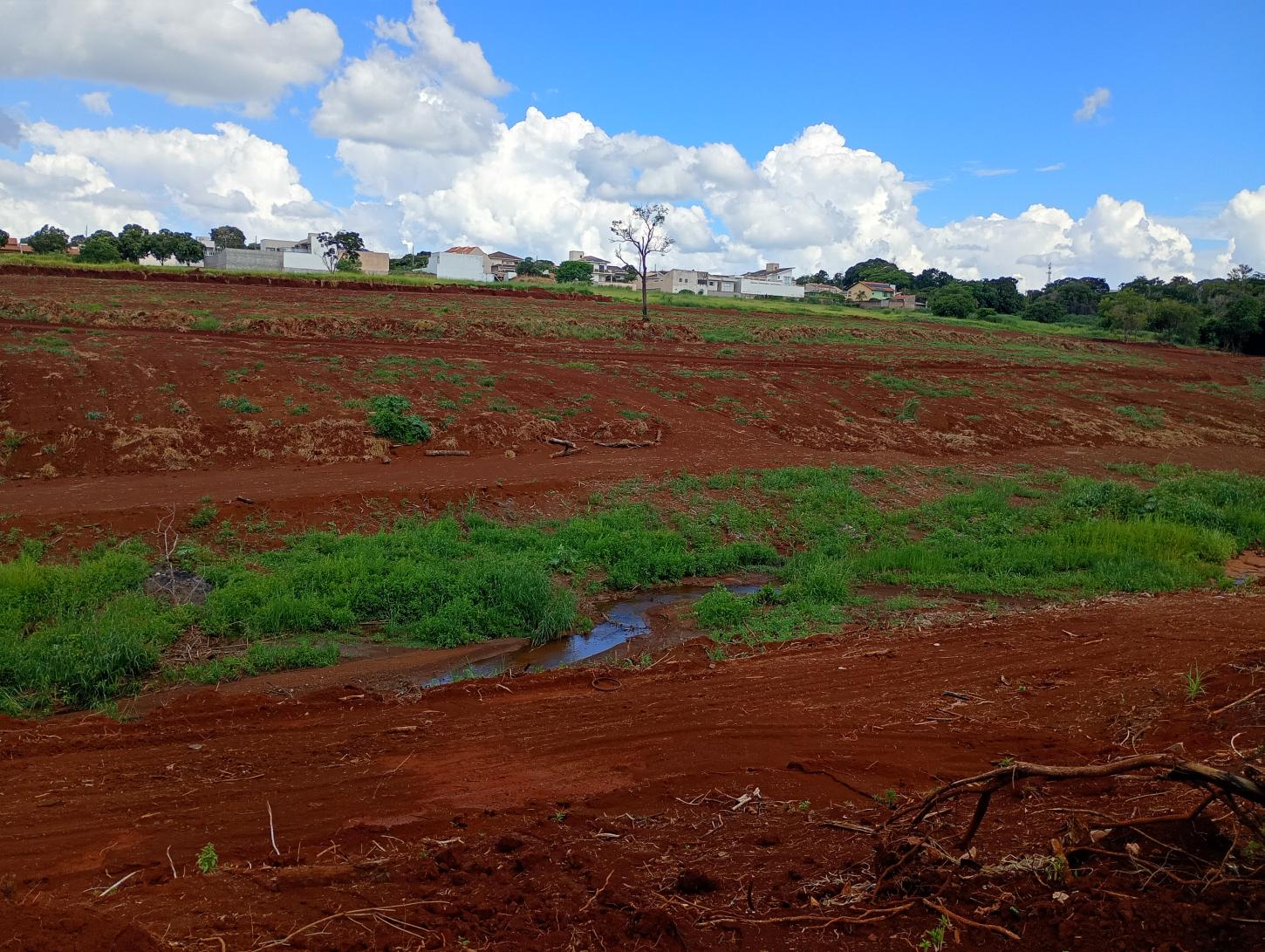 Vereador fiscaliza obra no Lago dos Tucanos e cobra suposto desaparecimento de madeira retirada