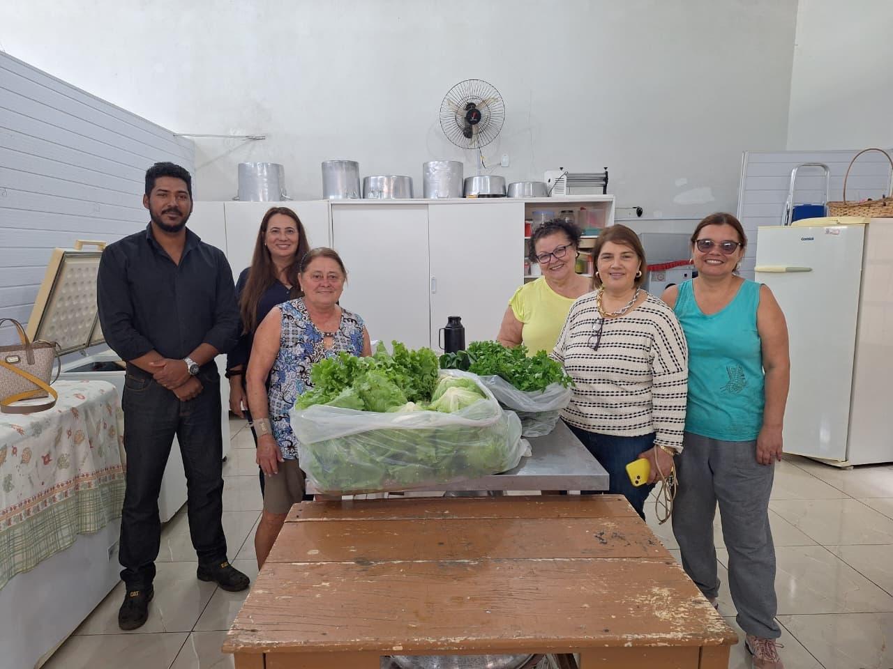 Colheita na Horta Comunitária Urbana é entregue pela administração a entidades do COMSEA