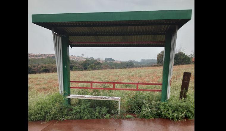 O contraste do abandono: mato avança em Ibiporã enquanto IPTU chega com reajuste questionável