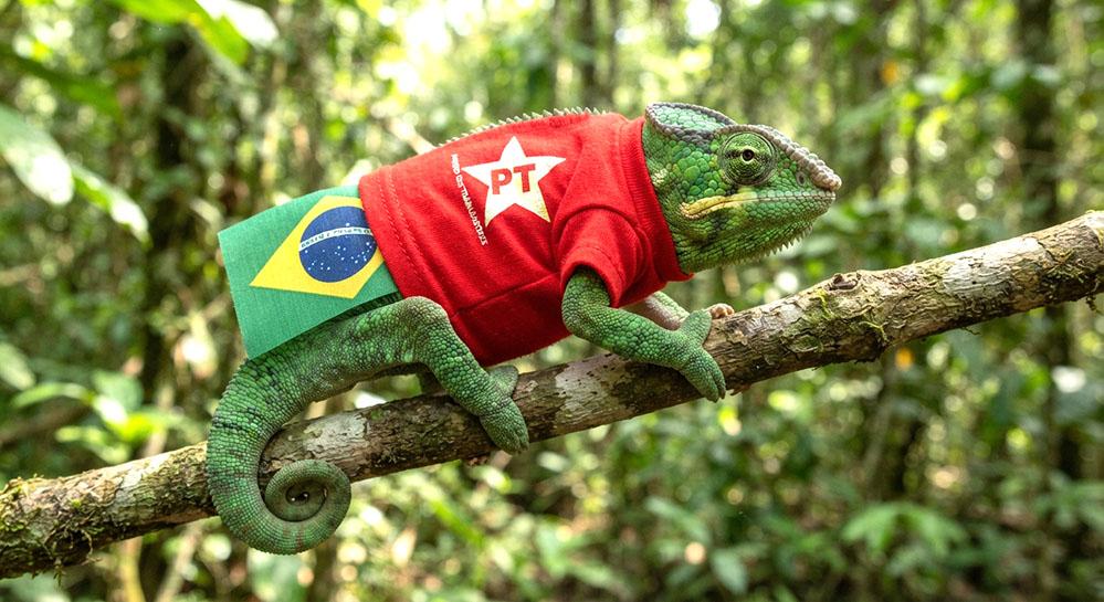 Depois de carregar a bandeira 